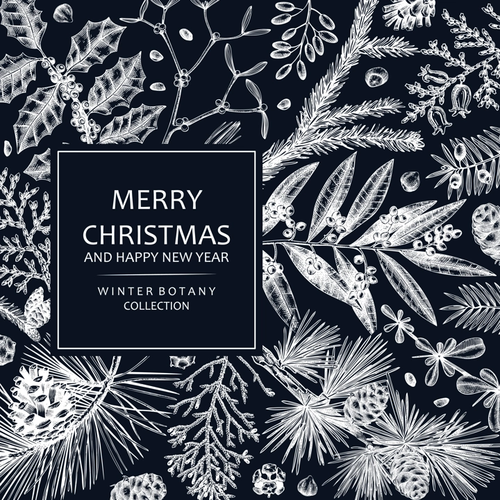 Merry Christmas card  on chalkboard with evergreen plants, conifers, and nuts drawing. Winter design with hand-drawn botanical illustrations. Vintage Christmas background, New Year invitation template